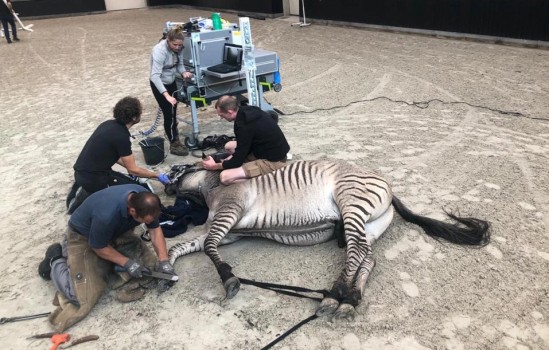 18 Skuffesystem for veterinærer.jpg